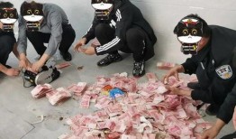 武汉爆料者被抓视频最新,真相与争议的交锋